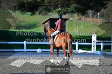 ref. photo 3553966