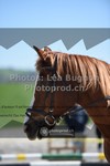 ref. photo 3553986