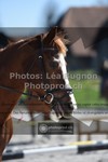 ref. photo 3553987