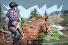 ref. photo 3553992