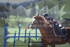 ref. photo 3553993