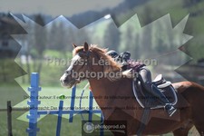 ref. photo 3553994