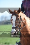 ref. photo 3554002