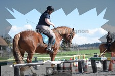 ref. photo 3554007