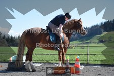 ref. photo 3554008