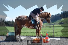 ref. photo 3554009