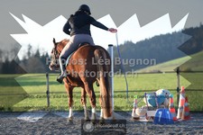 ref. photo 3554026