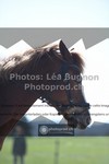 ref. photo 3554038