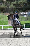 ref. photo 3554048