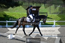 ref. photo 3554054