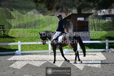 ref. photo 3554056