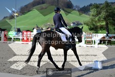 ref. photo 3554059