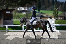 ref. photo 3554063