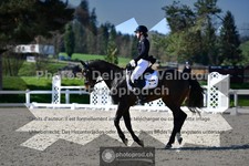 ref. photo 3554070
