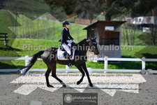 ref. photo 3554071