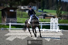 ref. photo 3554072