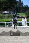 ref. photo 3554073