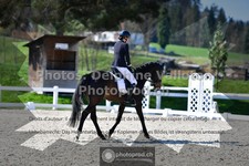 ref. photo 3554084