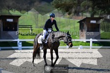 ref. photo 3554101