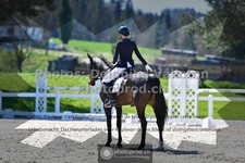 ref. photo 3554106