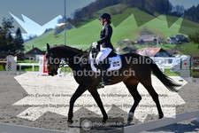 ref. photo 3554112
