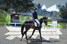 ref. photo 3554113