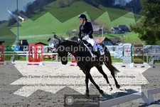 ref. photo 3554116