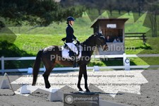 ref. photo 3554117