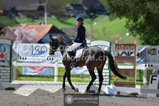 ref. photo 3554119