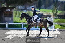 ref. photo 3554122