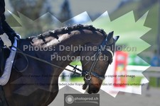 ref. photo 3554125