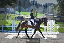 ref. photo 3554127