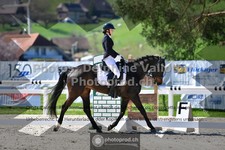 ref. photo 3554129