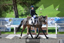 ref. photo 3554130