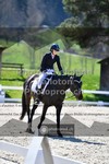 ref. photo 3554138