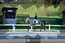 ref. photo 3554139