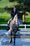 ref. photo 3554146