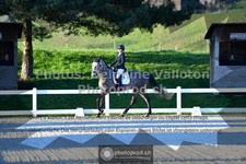 ref. photo 3554180