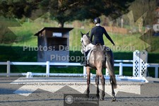 ref. photo 3554192