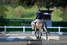 ref. photo 3554193
