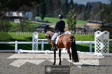 ref. photo 3554206
