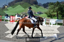 ref. photo 3554211