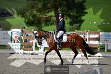 ref. photo 3554241