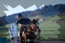 ref. photo 3554251