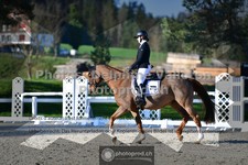 ref. photo 3554264