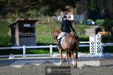 ref. photo 3554271