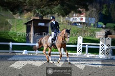 ref. photo 3554286