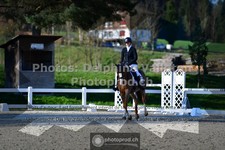 ref. photo 3554288