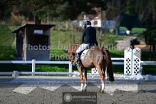 ref. photo 3554301