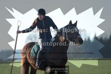 ref. photo 3554319